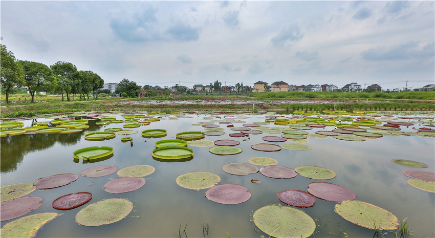 文浦花園