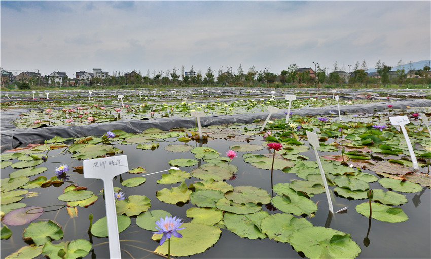 文浦花園