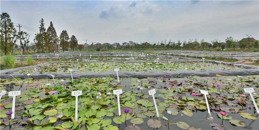 文浦花園