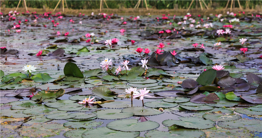 文浦花園