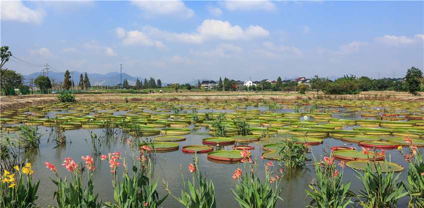 文浦花園