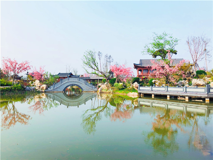 黃有華-韓城國家文史公園瓊島攬月處紅花綠葉，春意盎然。.jpg