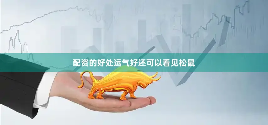 配资的好处运气好还可以看见松鼠