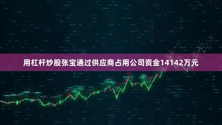 用杠杆炒股张宝通过供应商占用公司资金14142万元