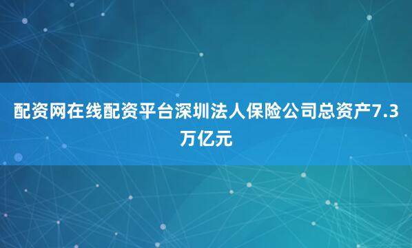 配资网在线配资平台深圳法人保险公司总资产7.3万亿元