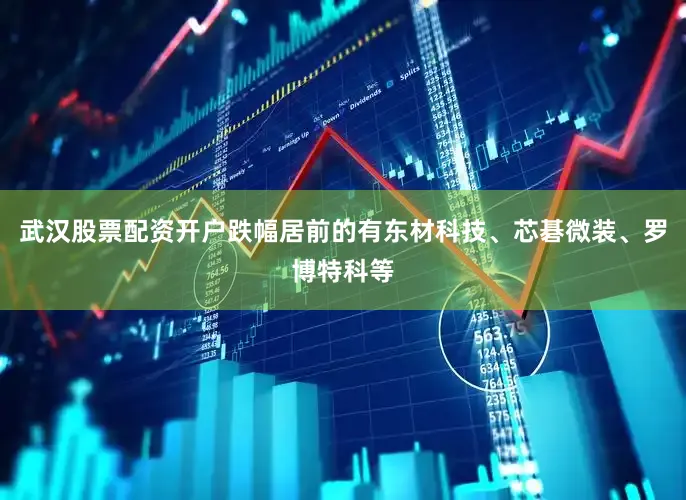 武汉股票配资开户跌幅居前的有东材科技、芯碁微装、罗博特科等